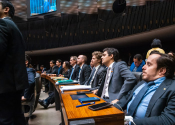 Nota da Liderança do NOVO sobre queimadas e desmatamentos na Amazônia brasileira e países vizinhos