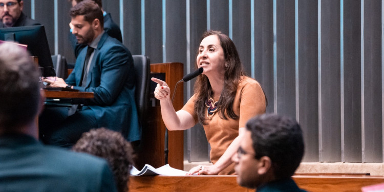 Pacote anticrime é aprovado na Câmara com apoio do NOVO