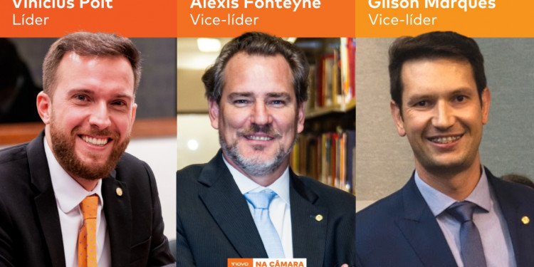 NOVO anuncia nova liderança para 2021 NOVO anuncia nova liderança para 2021