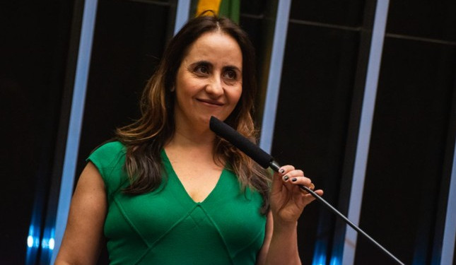 Deputada do Novo quer transparência nas emendas especiais Deputada do Novo quer transparência nas emendas especiais