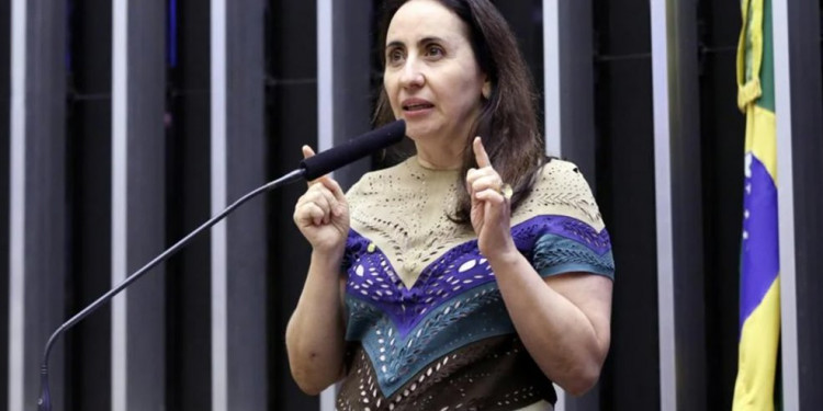“Democracia pode ser mais barata”, diz Adriana Ventura, sobre golpe do fundão “Democracia pode ser mais barata”, diz Adriana Ventura, sobre golpe do fundão