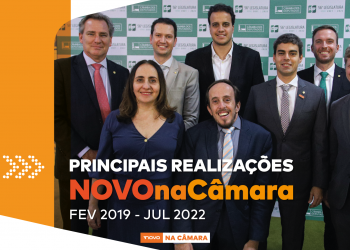 Principais realizações NOVO na Câmara (Fev/19 – Jul/22)