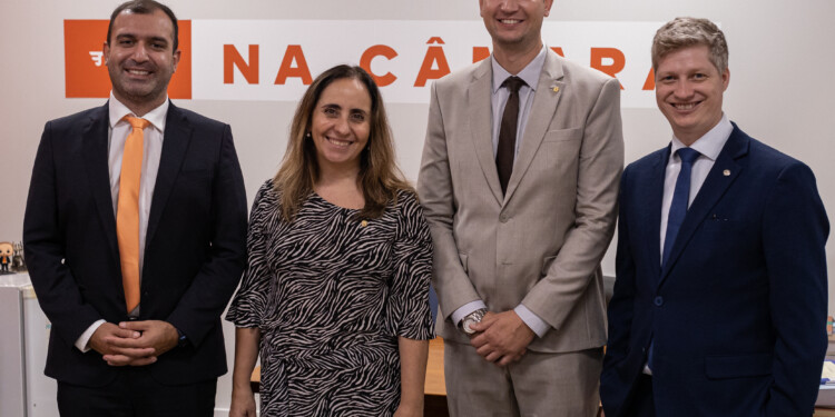 NOVO pede investigação sobre uso político da presidência da Conab NOVO pede investigação sobre uso político da presidência da Conab