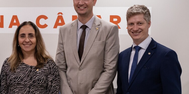 Deputados pedem informações sobre o DPVAT Deputados pedem informações sobre o DPVAT