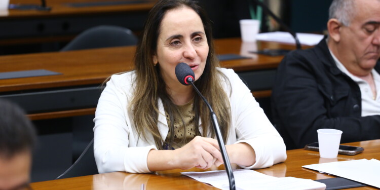 Prontuário Eletrônico Único é prioridade para o próximo semestre, garante relatora Prontuário Eletrônico Único é prioridade para o próximo semestre, garante relatora