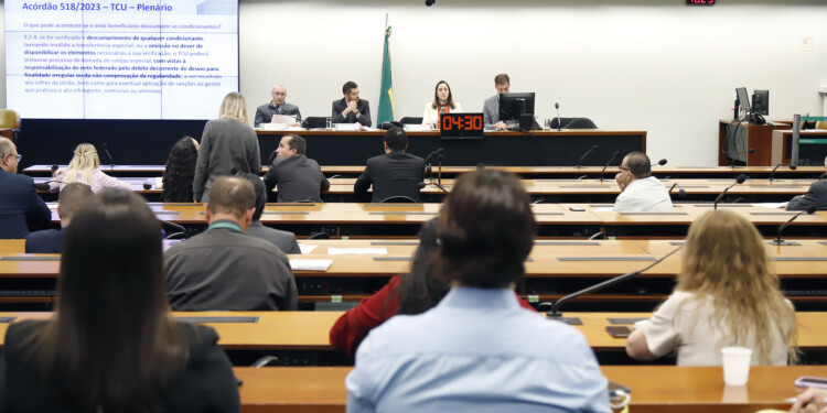 Bancada do NOVO lança painel que ajuda na fiscalização das emendas PIX