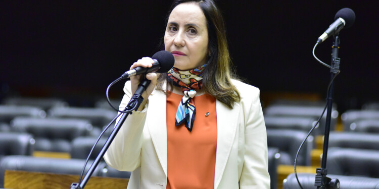 Para oposição, debate sobre fake news esconde “interesses perversos” Para oposição, debate sobre fake news esconde “interesses perversos”