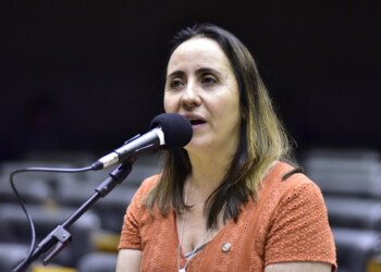 ‘Queda de braço não é boa para o país’, diz deputada sobre pressões para reforma ministerial