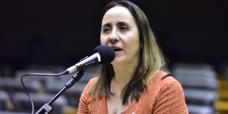 ‘Queda de braço não é boa para o país’, diz deputada sobre pressões para reforma ministerial ‘Queda de braço não é boa para o país’, diz deputada sobre pressões para reforma ministerial