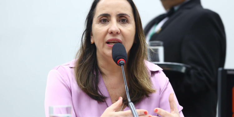 ‘Retrocesso absurdo’, diz deputada sobre minirreforma eleitoral ‘Retrocesso absurdo’, diz deputada sobre minirreforma eleitoral