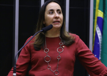 “Autoanistia é uma pouca-vergonha”, diz líder do NOVO, Adriana Ventura