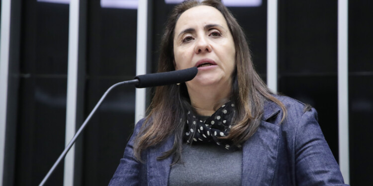 Divulgação de dados de avaliações e censos escolares volta à Câmara Divulgação de dados de avaliações e censos escolares volta à Câmara