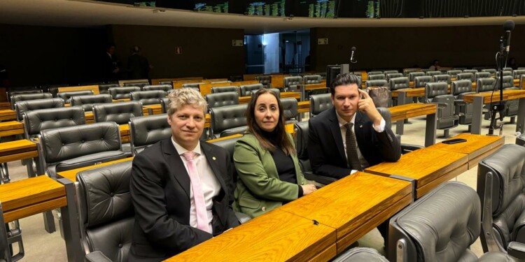 Com Atuação do NOVO, PEC da Anistia é Retirada de Pauta Com Atuação do NOVO, PEC da Anistia é Retirada de Pauta