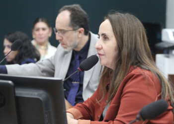 Proposta de aliado de Dino para emendas ajuda governo e não garante transparência