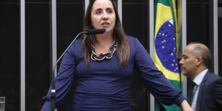 Deputada do NOVO quer mudar as regras para planos de servidores Deputada do NOVO quer mudar as regras para planos de servidores