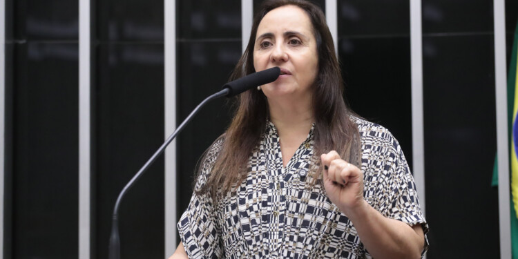 Deputada do NOVO quer proibir governo de contratar ONGs sem licitação para distribuir marmitas Deputada do NOVO quer proibir governo de contratar ONGs sem licitação para distribuir marmitas