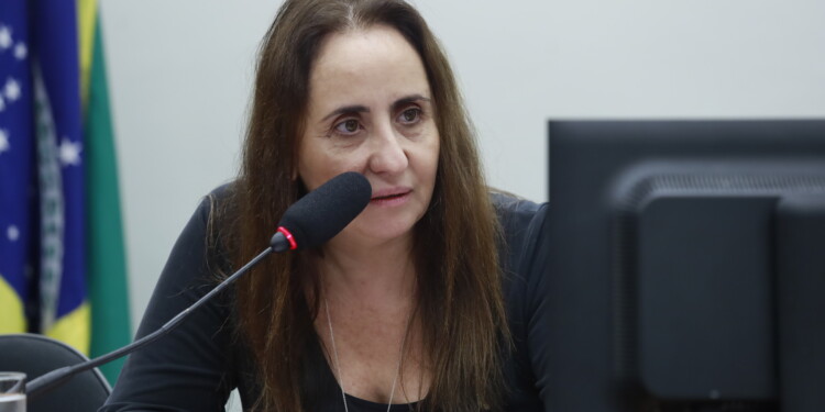 Reforma tributária: deputada aponta prejuízos e cobra ajustes estruturais Reforma tributária: deputada aponta prejuízos e cobra ajustes estruturais